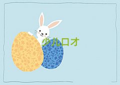 ɶ^(q)W(xu)˿ڲ
