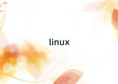 A^LinuxӋQӖǰʮ