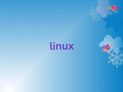 A^(q)LinuxӋ(j)Ӗ(xn)