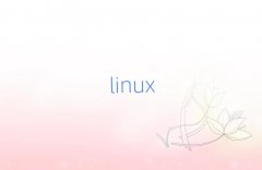2018�������A���D��B�W(xu��)Linux��Ӌ��ܘ�(g��u)��
