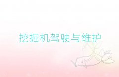 ��ɽ�����ھ�C�WУ��Ӗ��