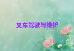 dƽW܇ҪXǰʮ