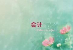 W(xu)cpa
