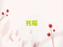 2025���u�Ƹ�·toefl��Ӗ��