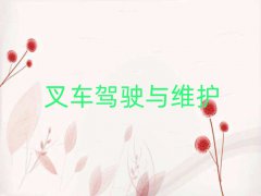 2025꟟_֥^WZW
