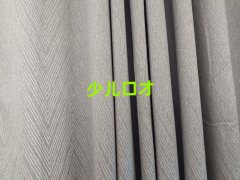 2025���������v�c�ڲŌWУ