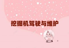 2025�����ݺõ������C��Ӗ�WУ10������