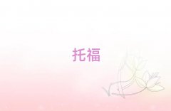 2025�갲��и�����W