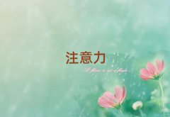 2025KȥW(xu)Ӷ(dng)Ym