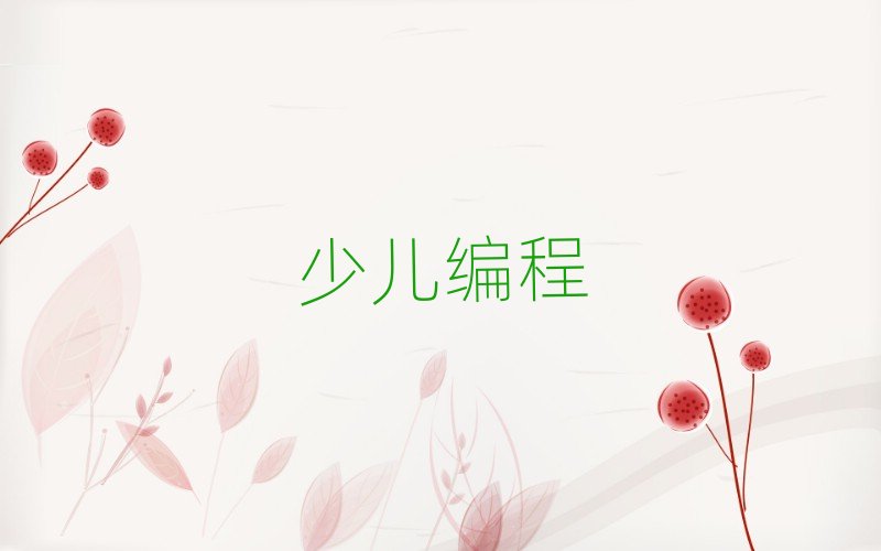 2019年珠海金灣區(qū)初中生學(xué)編程培訓(xùn)要多少錢