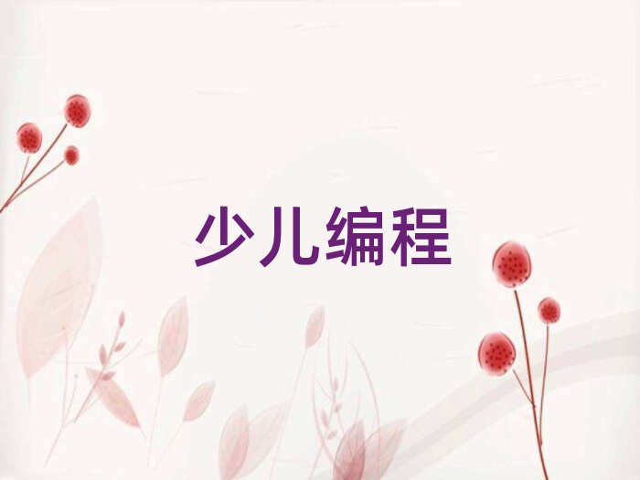 深圳少兒編程培訓學校