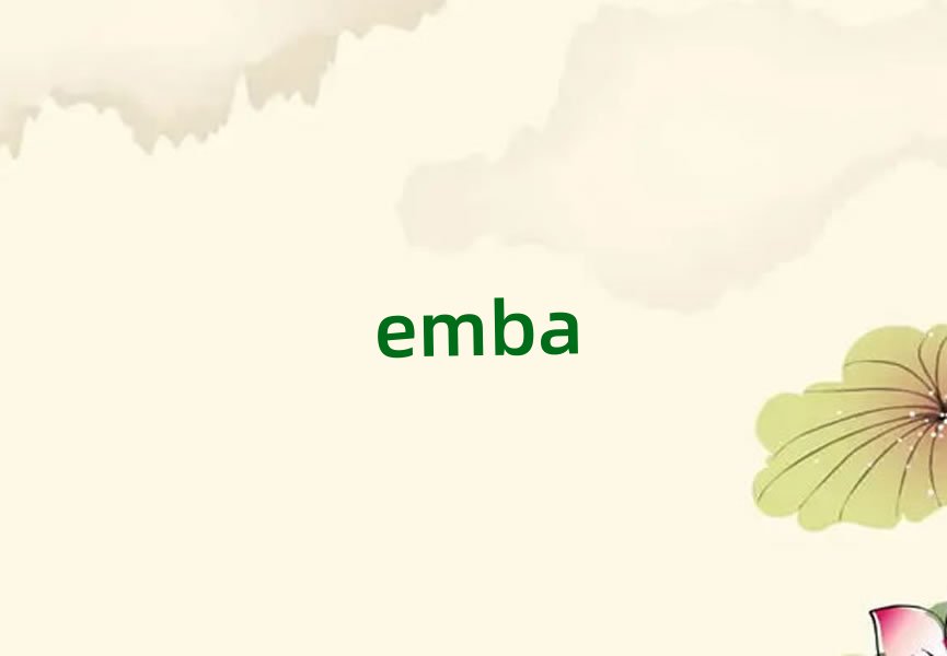 ������ƽ�^(q��)һ��һEMBA