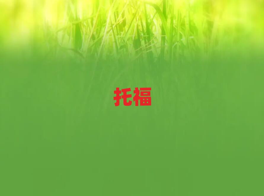 2019꽭TиӖ
