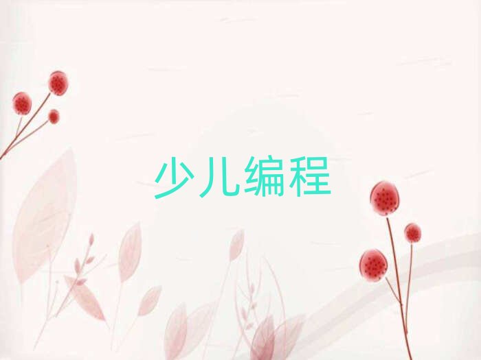 海口龍華區想學兒童編程哪個學校好