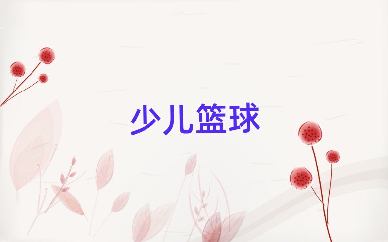 長(zhǎng)沙岳麓區(qū)谷山小學(xué)生籃球