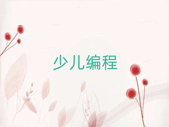 2019年武漢專業少兒學scratch培訓