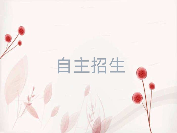 2019年武漢在哪學(xué)自主招生好