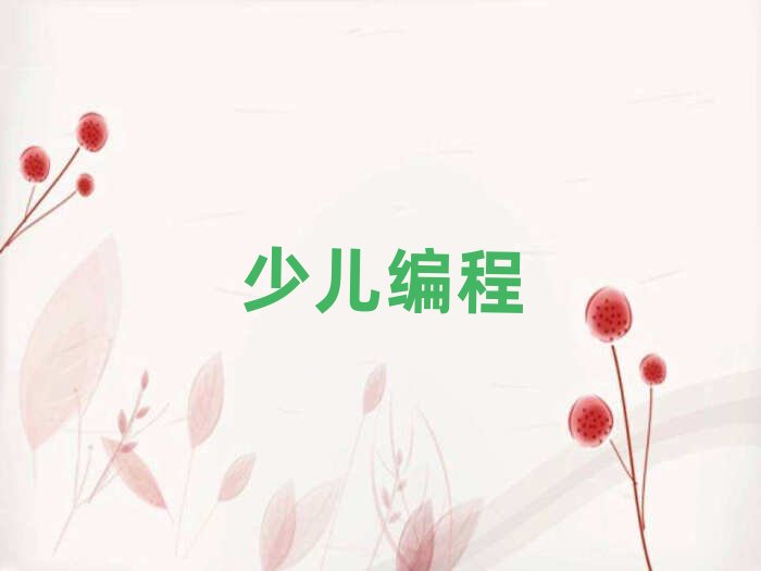 合肥包河區少兒編程培訓學校