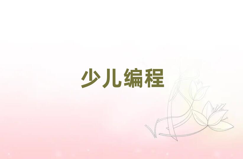 中學(xué)生編程