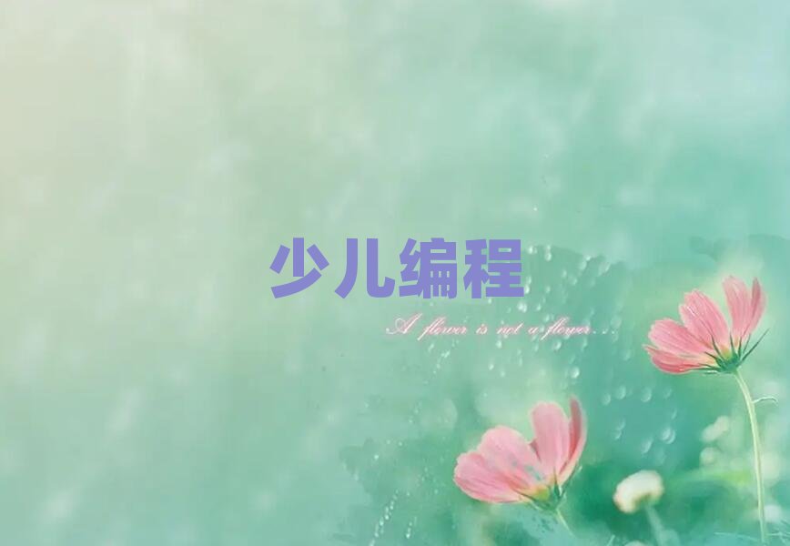 2019年海口龍華區(qū)想學(xué)中學(xué)生編程哪個學(xué)校好