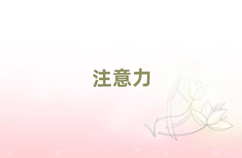 武漢教兒童注意力訓練的學校