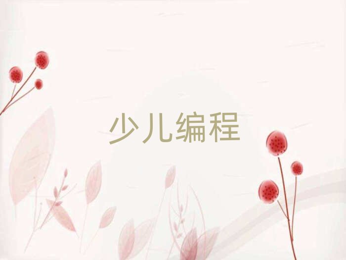 杭州學高中生編程到哪里