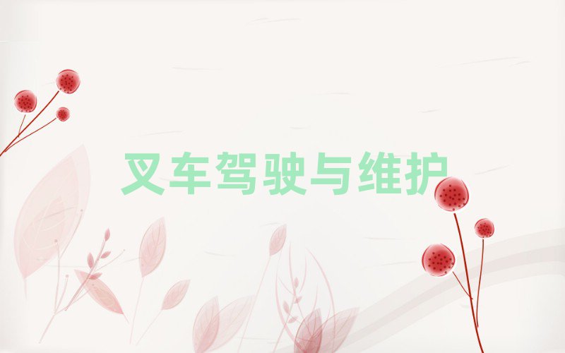 2019DZWУ