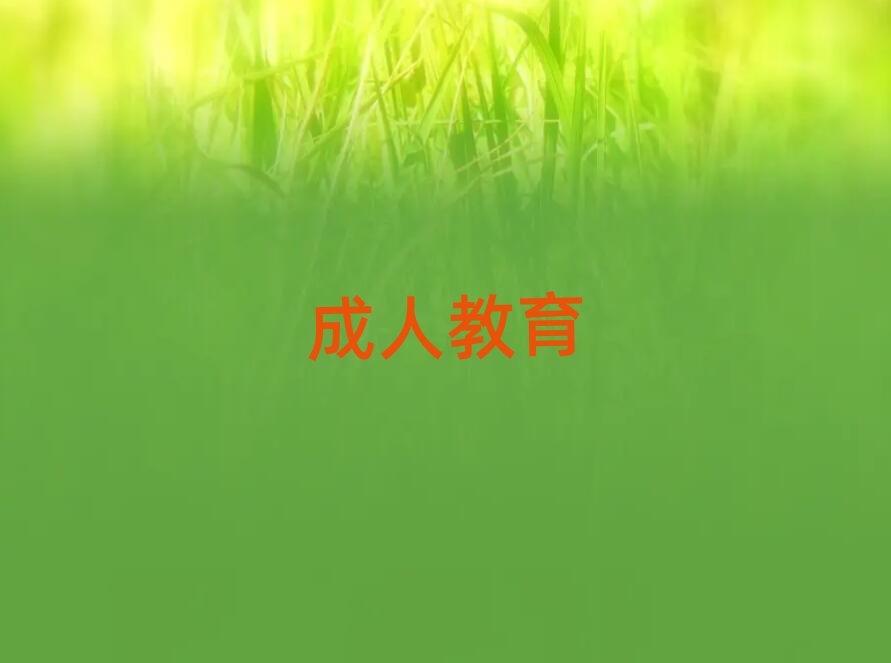 �Ͼ�����Ӣ�Z���Z��Ӗ�WУ�Ă���