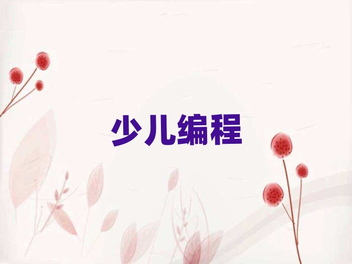 成都龍泉驛區少兒編程培訓學校