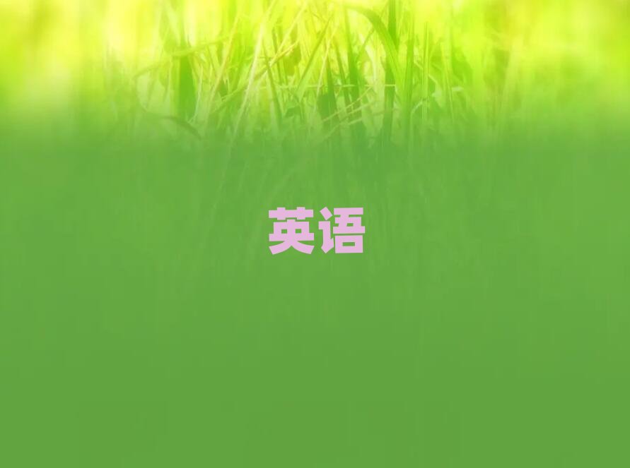 2019洛陽培訓雅思哪個機構好