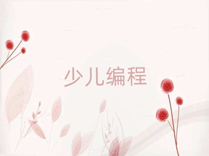 保定少兒編程培訓學校