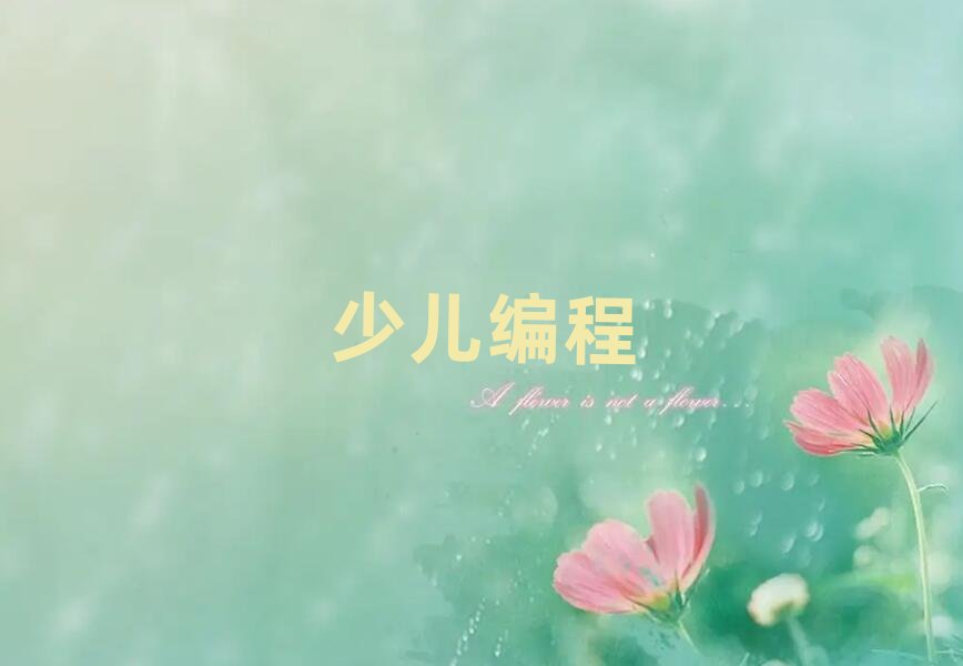 徐州少兒編程培訓(xùn)學(xué)校