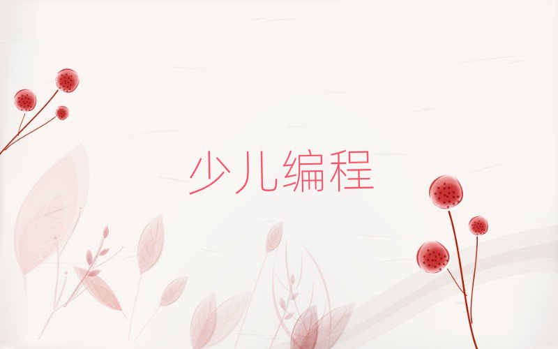 保定少兒編程培訓(xùn)學(xué)校