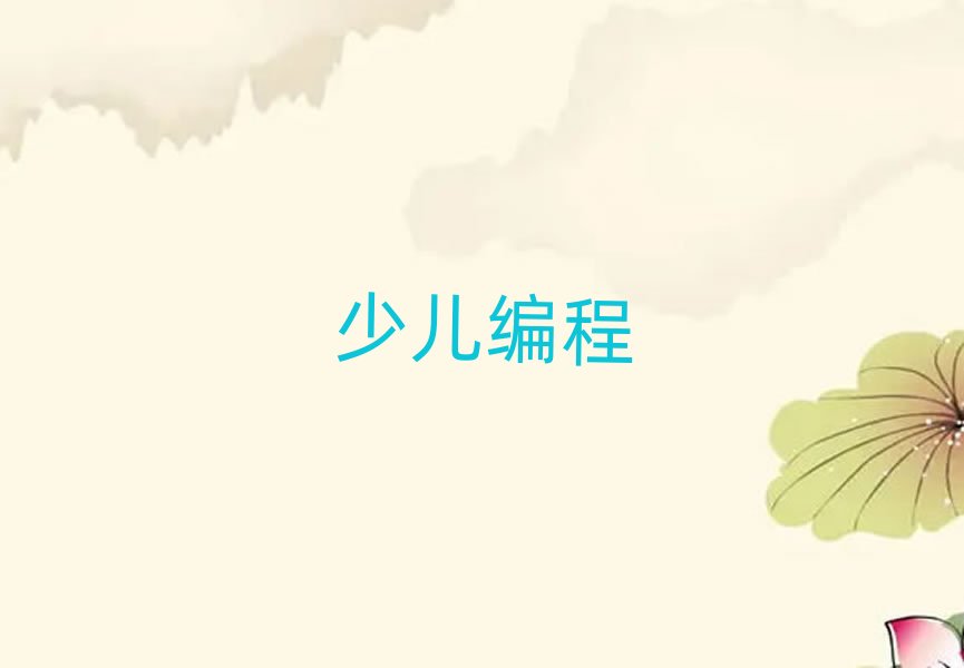 深圳羅湖區(qū)小學(xué)生編程學(xué)哪個(gè)學(xué)校好