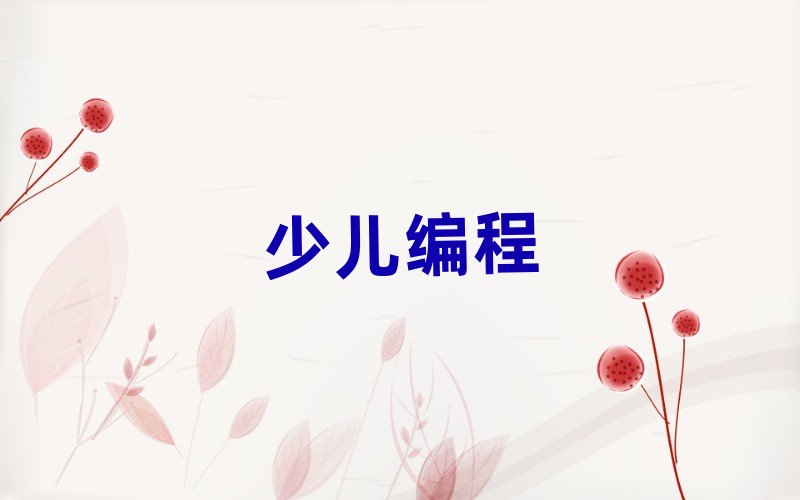 貴陽小河區(qū)到哪里學(xué)少兒學(xué)scratch好