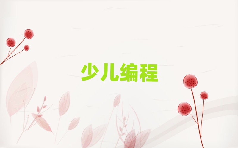 武漢少兒編程培訓學校