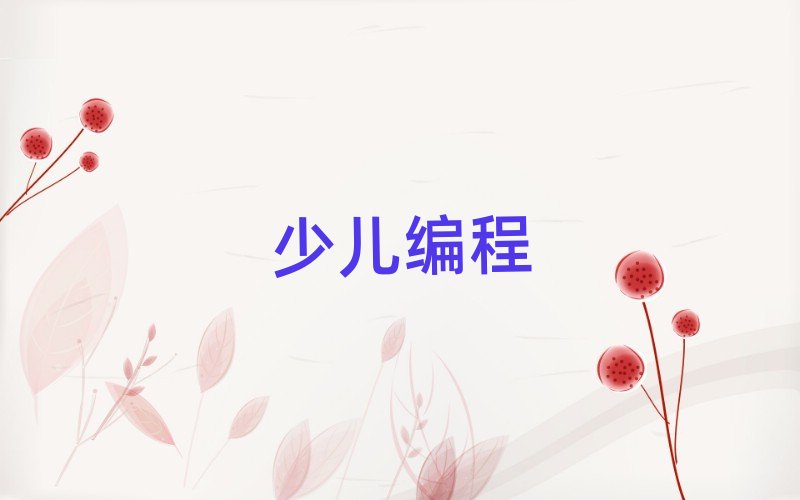 東莞少兒編程培訓(xùn)學(xué)校