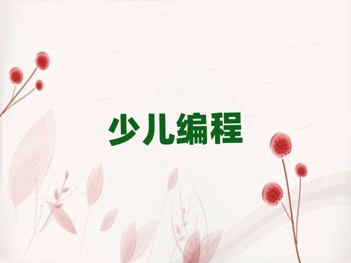 中學(xué)生編程