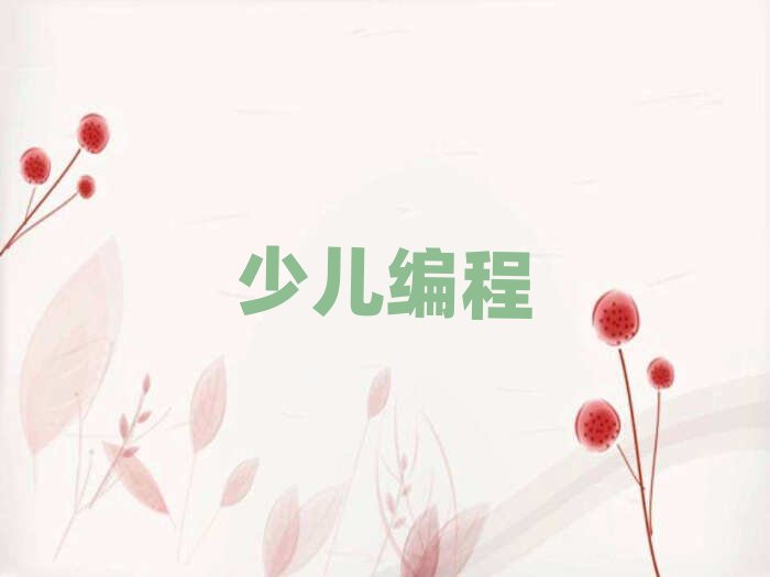 長沙小學生編程培訓學校