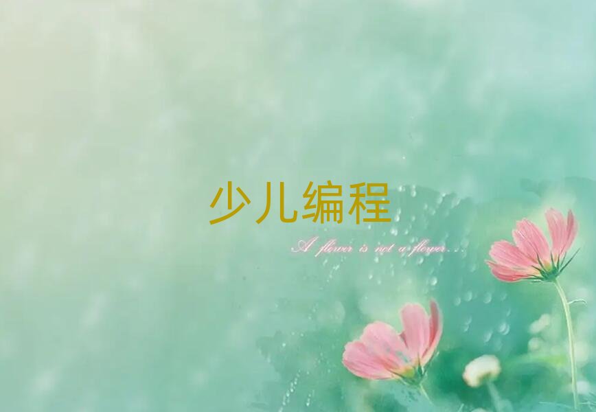 北京學青少年編程大概多少錢