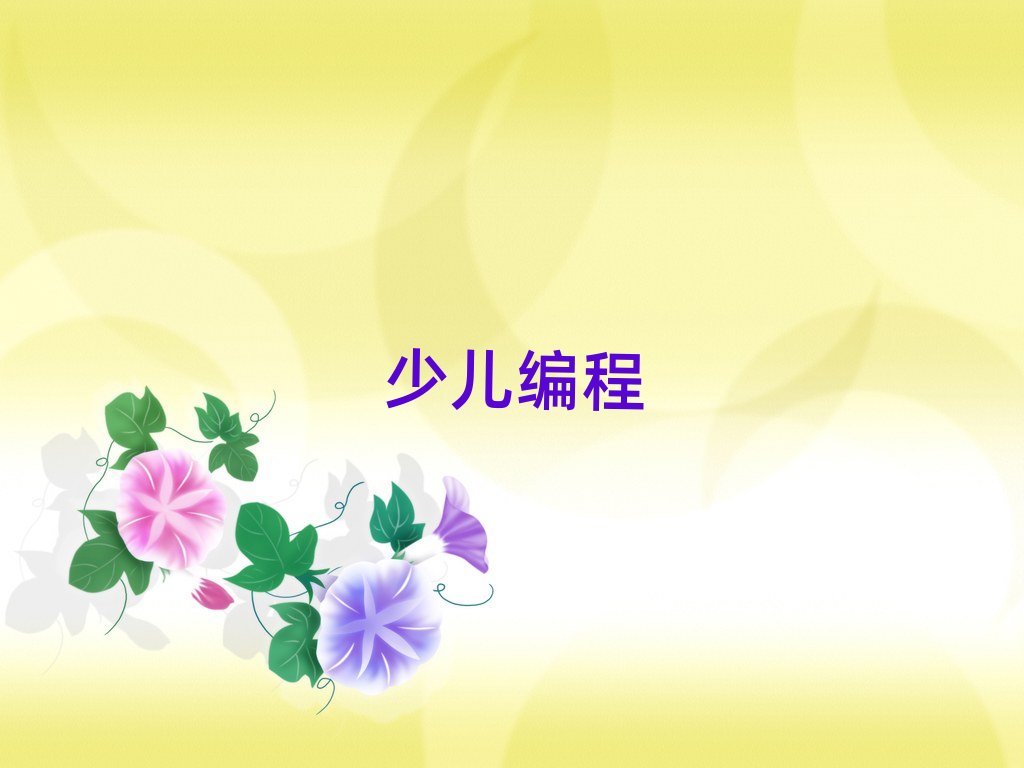 北京教中學生編程的機構