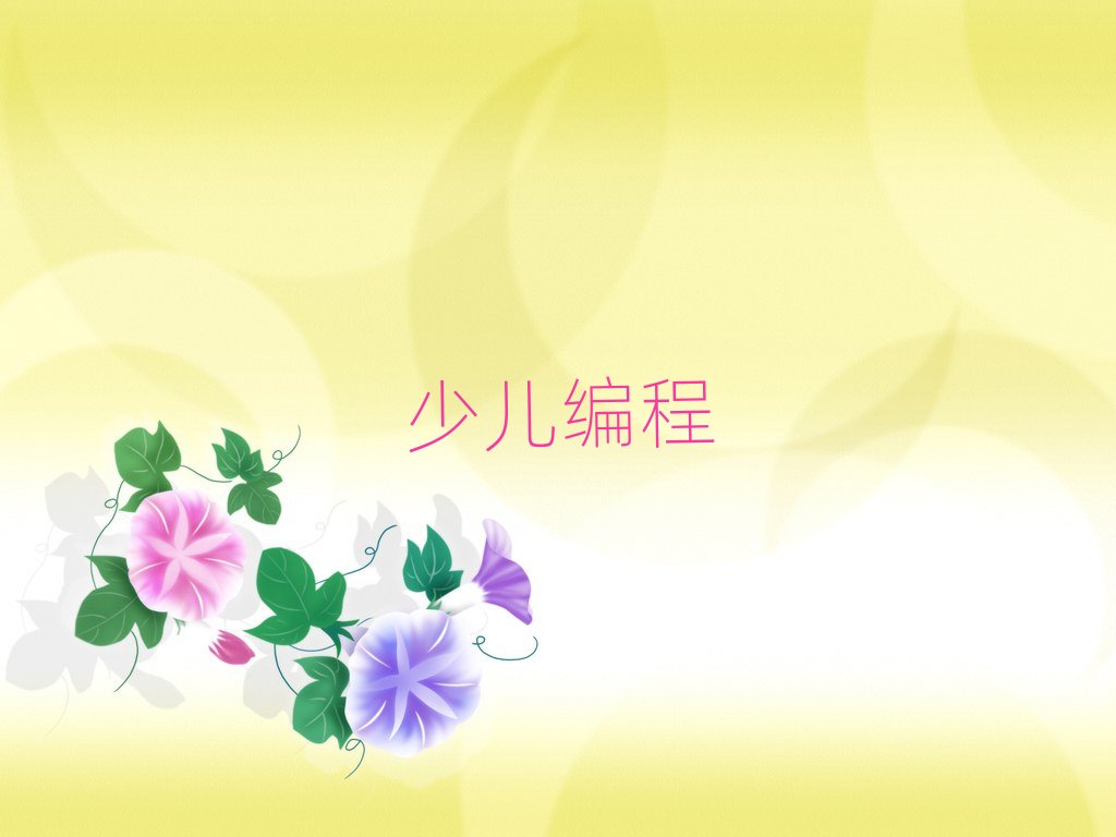 2019年廣州海珠區哪里學幼兒學編程