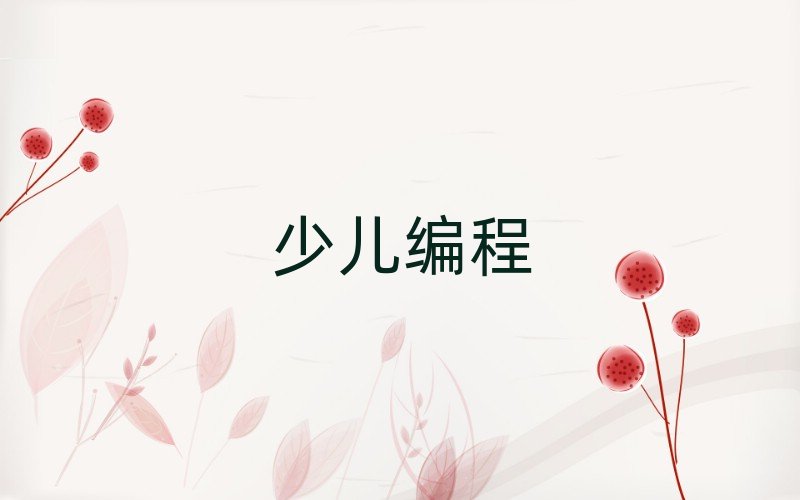 2020年青島少兒學(xué)noip編程培訓(xùn)一般多少錢