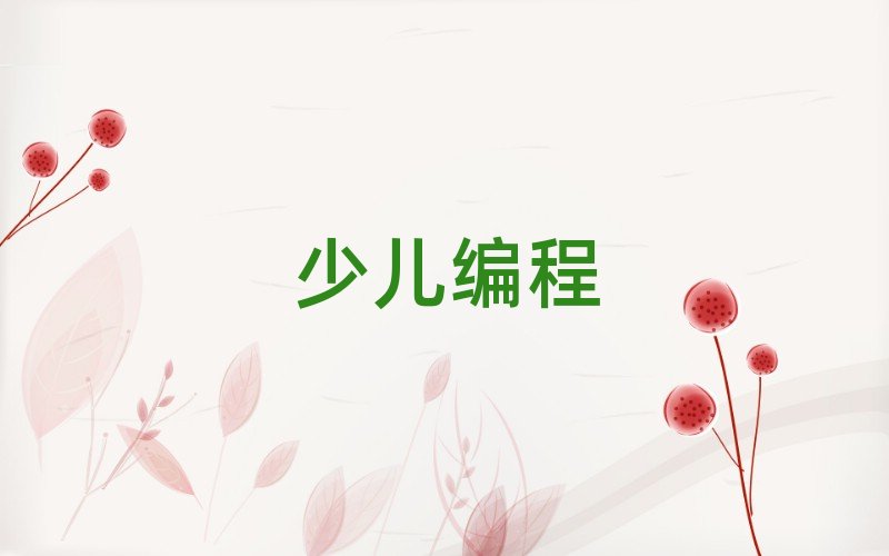 福州少兒學noip編程費用