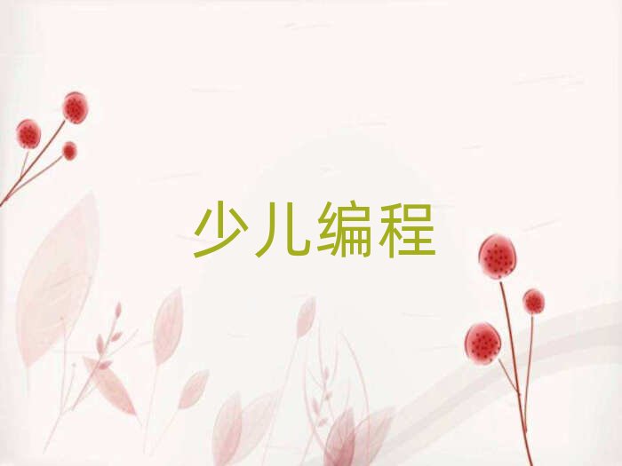 儋州少兒編程培訓學校