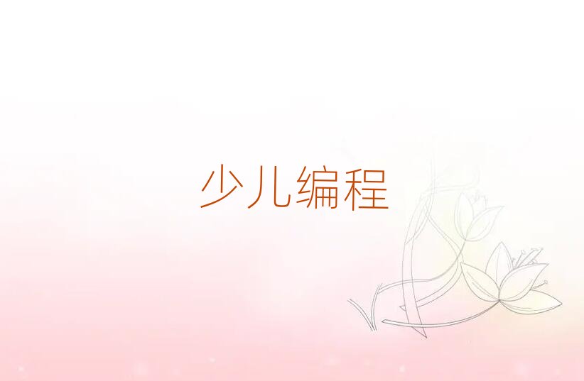 2020廣州學習少兒學noip編程