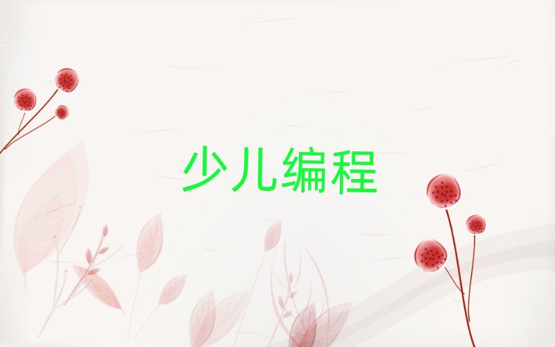 2020年哈爾濱童程童美小學(xué)生編程培訓(xùn)班報(bào)名入口