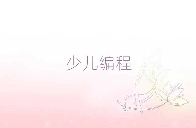 小學(xué)生編程