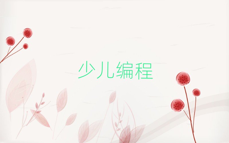 深圳小學生編程培訓學校