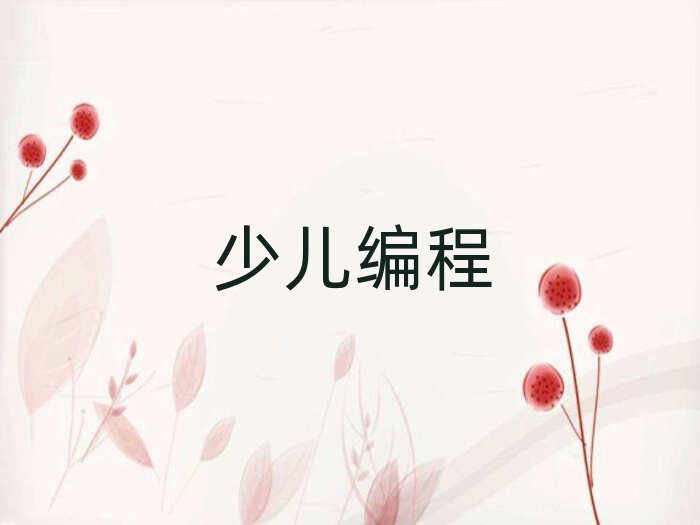 2020年成都武侯區學初中生編程哪個好